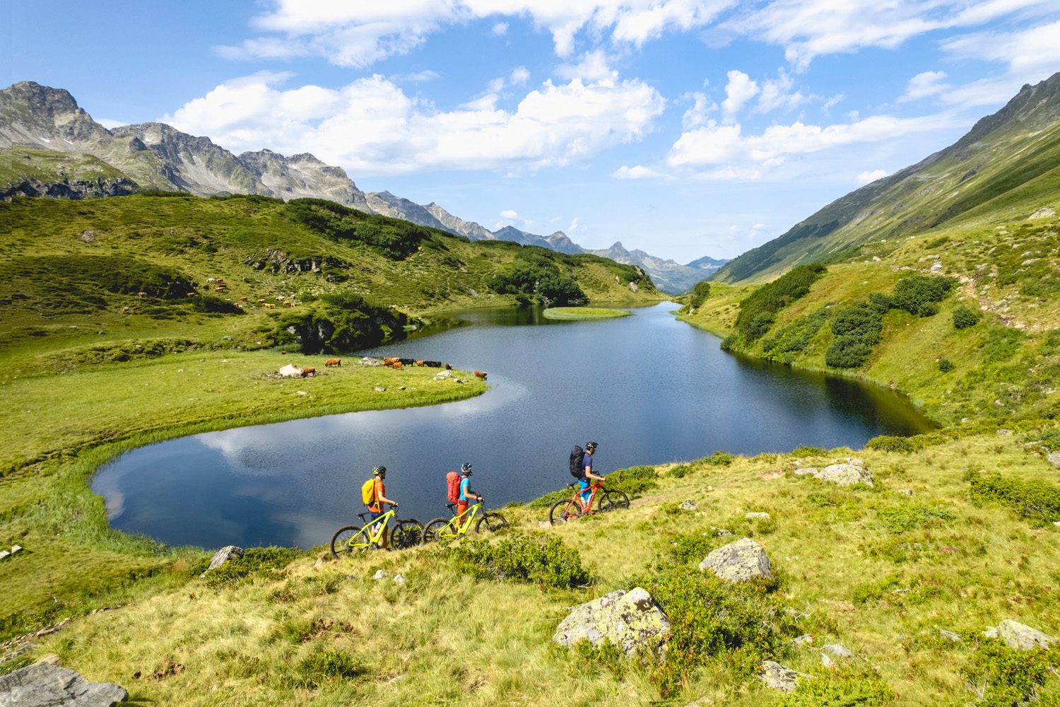 montafon Apartment Bergliebe Montafon